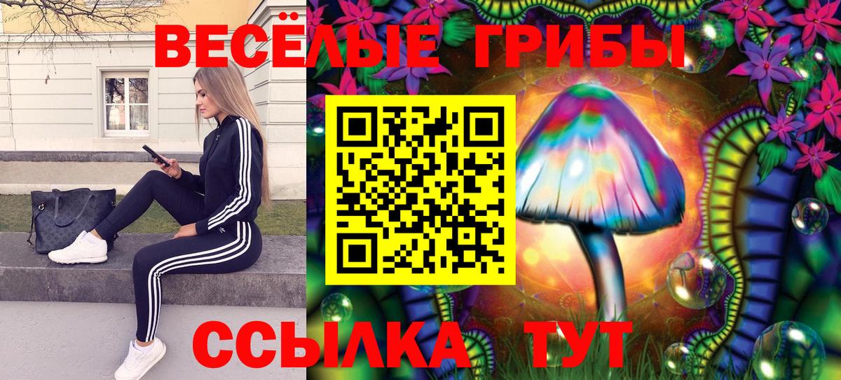 Галлюциногенные грибы Psilocybine cubensis  сколько стоит  Губкин  Вход с VPN 